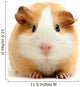 guineapig over white Wall Decal