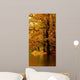 Autumn Tree Forest Wall Mural