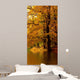Autumn Tree Forest Wall Mural