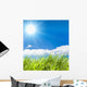 fresh green  grass Wall Mural