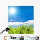 fresh green  grass Wall Mural