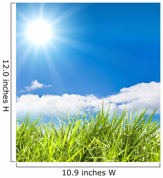 fresh green  grass Wall Mural