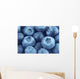 blueberries close up Wall Mural