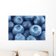 blueberries close up Wall Mural