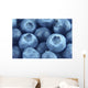 blueberries close up Wall Mural