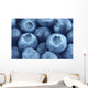 blueberries close up Wall Mural