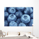 blueberries close up Wall Mural