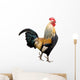 Rooster Isolated on White Background Wall Decal