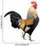 Rooster Isolated on White Background Wall Decal