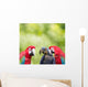 Parrot Meeting Wall Mural