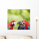 Parrot meeting Wall Mural