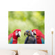 Parrot meeting Wall Mural