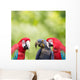 Parrot meeting Wall Mural