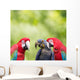 Parrot meeting Wall Mural