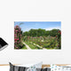 Roseraie Parisienne Wall Decal