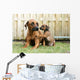 Young Rhodesian Ridgeback Giving Paw to Mom Wall Mural