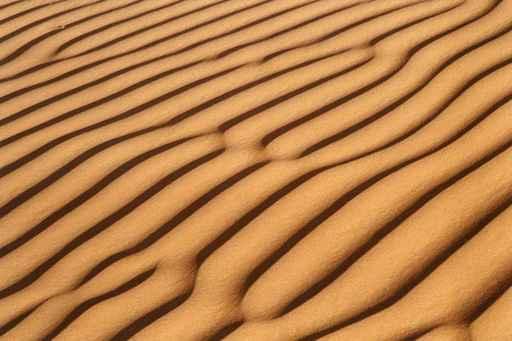 Sand Dune Rib Wall Decal