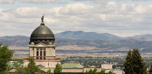 Panoramic Capital Dome Helena Wall Decal