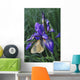 Iris and Butterfly Wall Mural