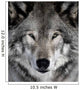 Gray Wolf Wall Mural