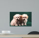 Two Little Puppies Bichon Bolognese Wall Mural
