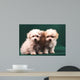 Two Little Puppies Bichon Bolognese Wall Mural