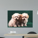 Two Little Puppies Bichon Bolognese Wall Mural