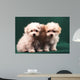 Two Little Puppies Bichon Bolognese Wall Mural