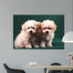 Two Little Puppies Bichon Bolognese Wall Mural