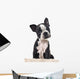 Boston Terrier Puppy Wall Decal