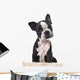 Boston Terrier Puppy Wall Decal