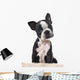 Boston Terrier Puppy Wall Decal