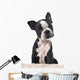 Boston Terrier Puppy Wall Decal
