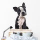 Boston Terrier Puppy Wall Decal