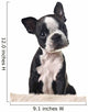 Boston Terrier Puppy Wall Decal