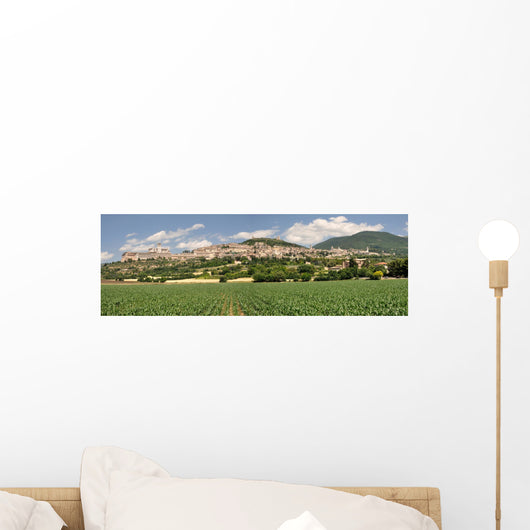Assisi Wall Mural