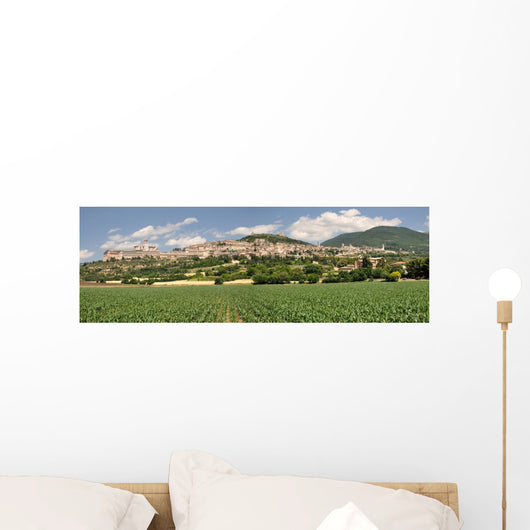 Assisi Wall Mural