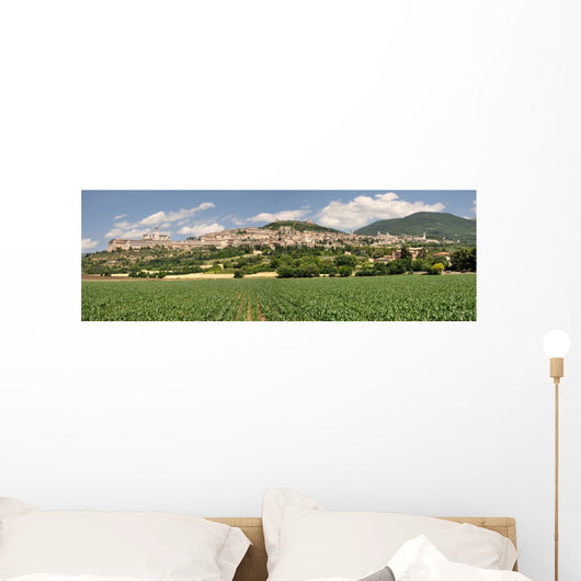 Assisi Wall Mural