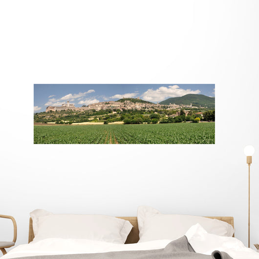 Assisi Wall Mural