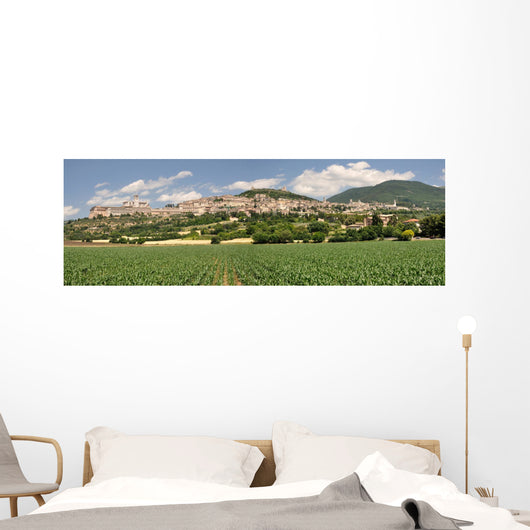 Assisi Wall Mural