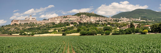 Assisi Wall Mural