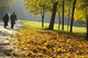 Pensioners Walking Wall Decal