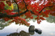 Leaves and Lake Wall Decal