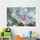 Jellyfish Wall Mural