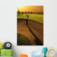 Golfer Taking A Swing From A Golf Bunker Wall Mural