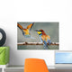 Bee-Eater Merops Apiaster Israel Wall Mural