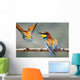 Bee-Eater Merops Apiaster Israel Wall Mural