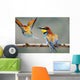 Bee-Eater Merops Apiaster Israel Wall Mural