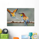 Bee-Eater Merops Apiaster Israel Wall Mural