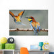 Bee-Eater Merops Apiaster Israel Wall Mural